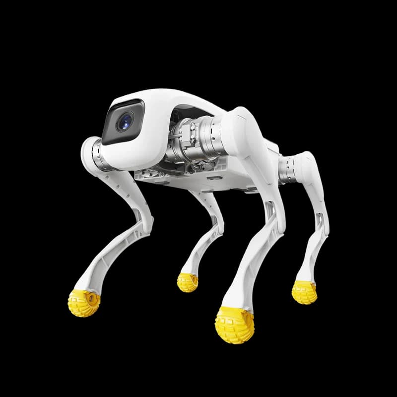AgiBot D1