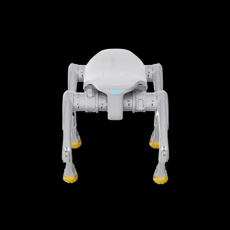 AgiBot D1 5