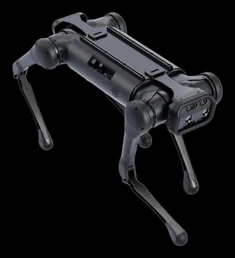 Unitree Aliengo