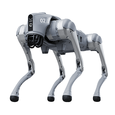 Quadrupeds
